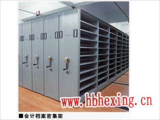 会计凭证Fuckbook